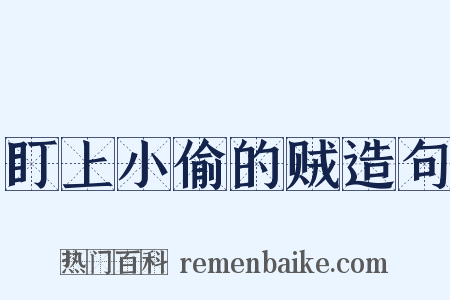 盯上小偷的贼造句是什么意思的图片